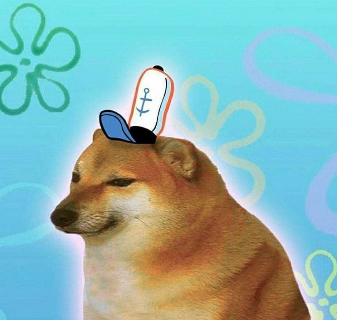 Cheems SpongeBob style